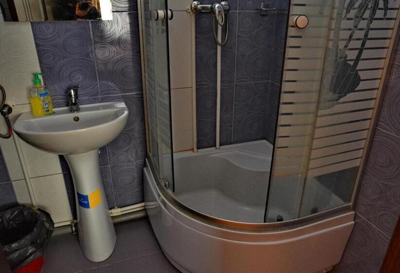 בית מלון כפרי Pensiunea Maramu