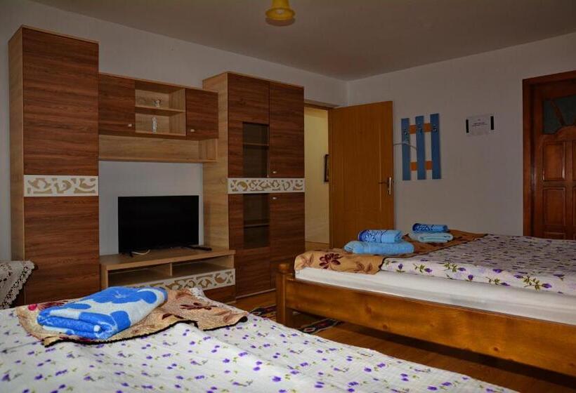 בית מלון כפרי Pensiunea Maramu