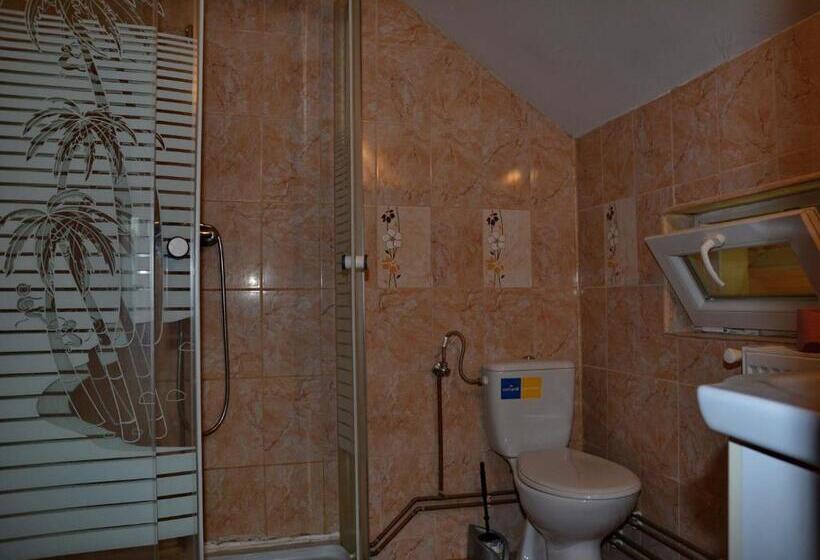 בית מלון כפרי Pensiunea Maramu