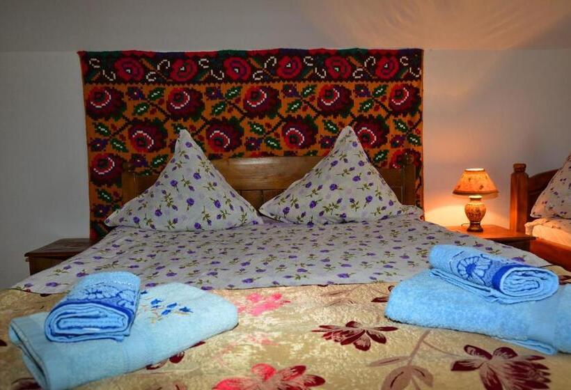 בית מלון כפרי Pensiunea Maramu