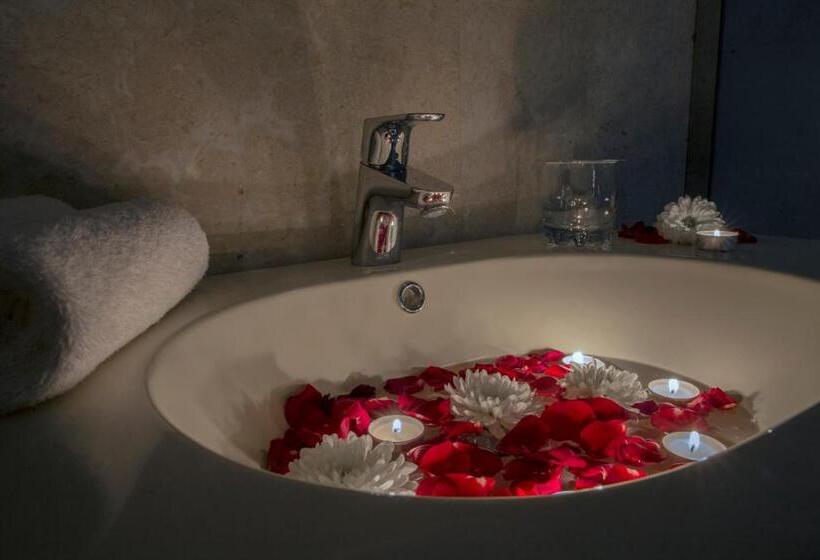 בית מלון כפרי Rollins