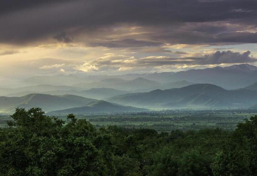 هتل & Wine Cellar Arge