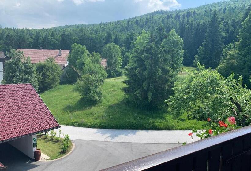 žigon Bed & Breakfast