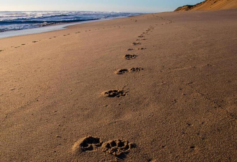 مُتل Endless Coast, A Boutique