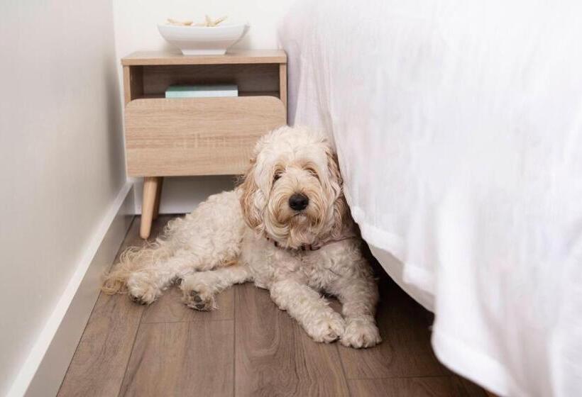 모텔 Endless Coast, A Boutique