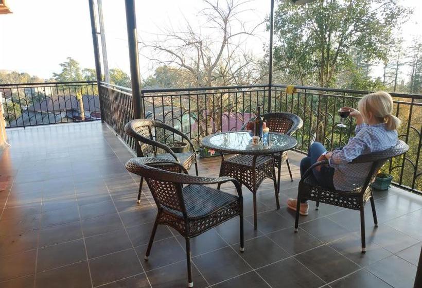 پانسیون илфи панорама