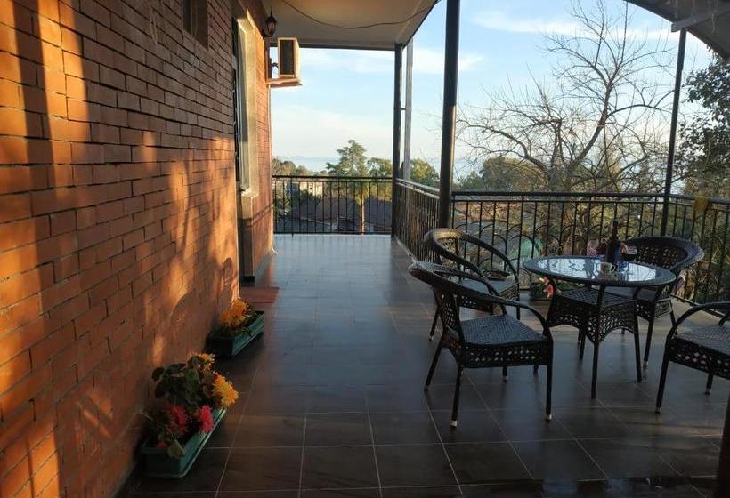 پانسیون илфи панорама