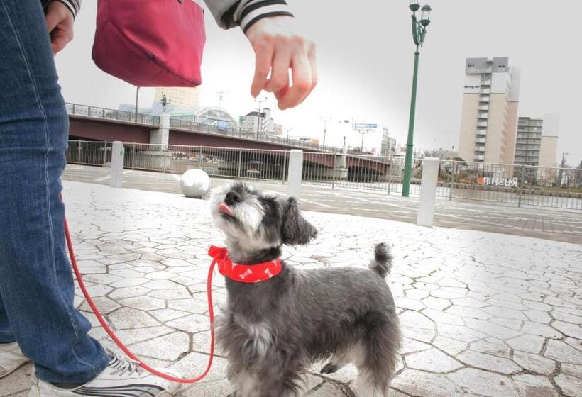 Пансион Art.paradigm