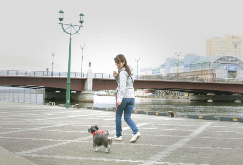 Пансион Art.paradigm