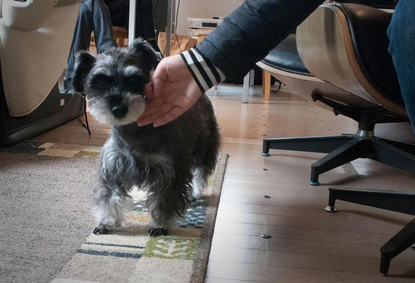 Пансион Art.paradigm