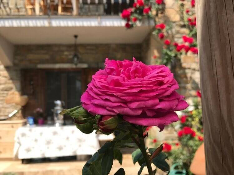 פנסיון Degirmen Konukevi