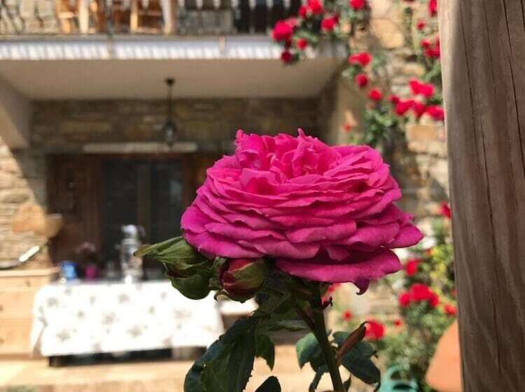 פנסיון Degirmen Konukevi