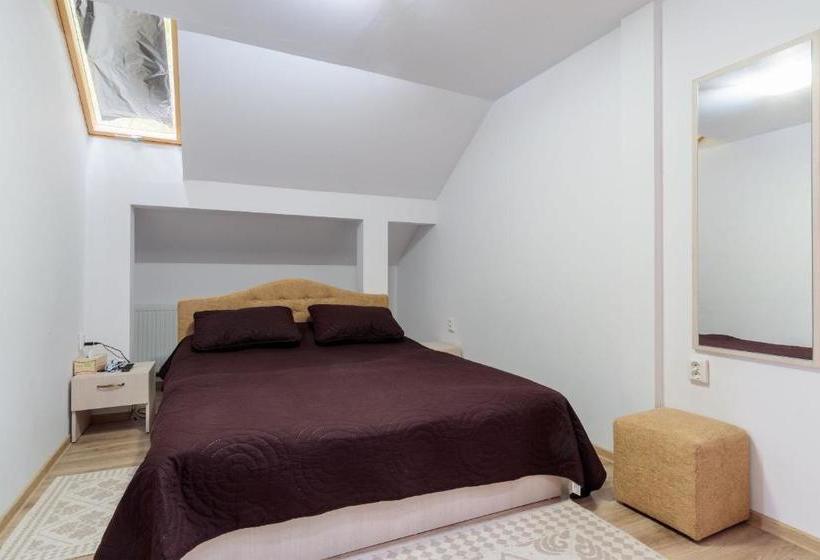 膳宿费 Former Ceausescu's Vila Crizantema