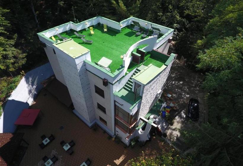 膳宿费 Former Ceausescu's Vila Crizantema