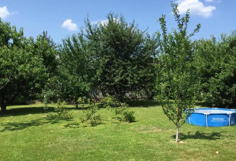 بنسيون Guest House