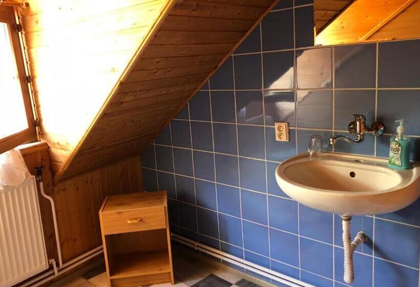 پانسیون Guest House U Náhonu