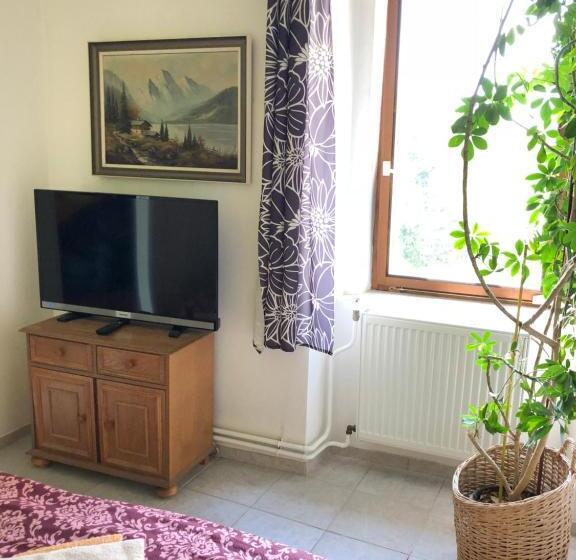 پانسیون Guest House U Náhonu