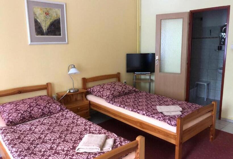 پانسیون Guest House U Náhonu