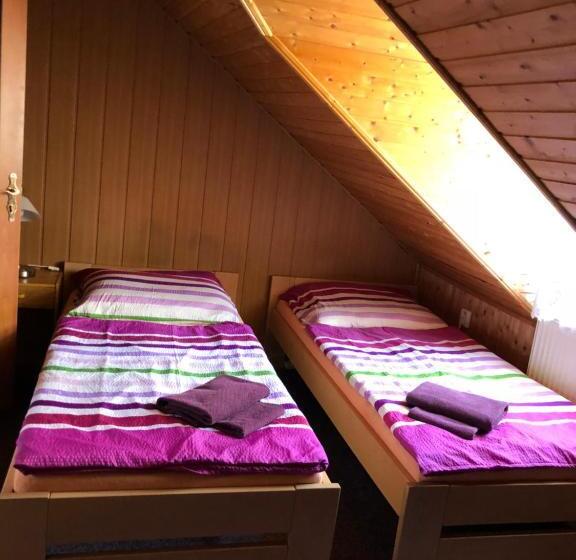 پانسیون Guest House U Náhonu