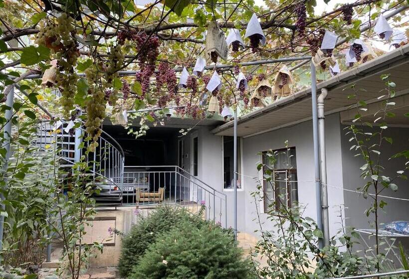 پانسیون Guest House Vip