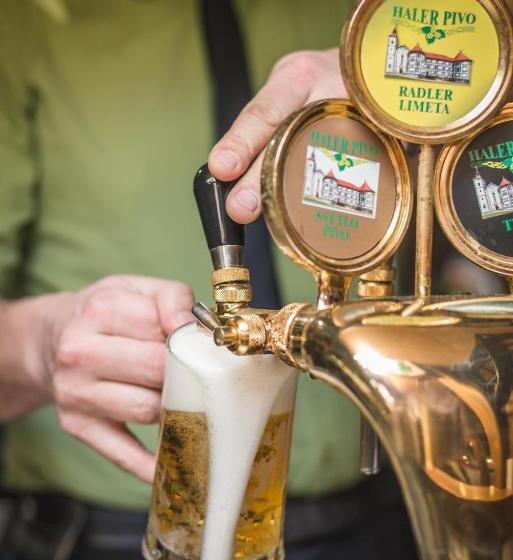 پانسیون Guesthouse Haler