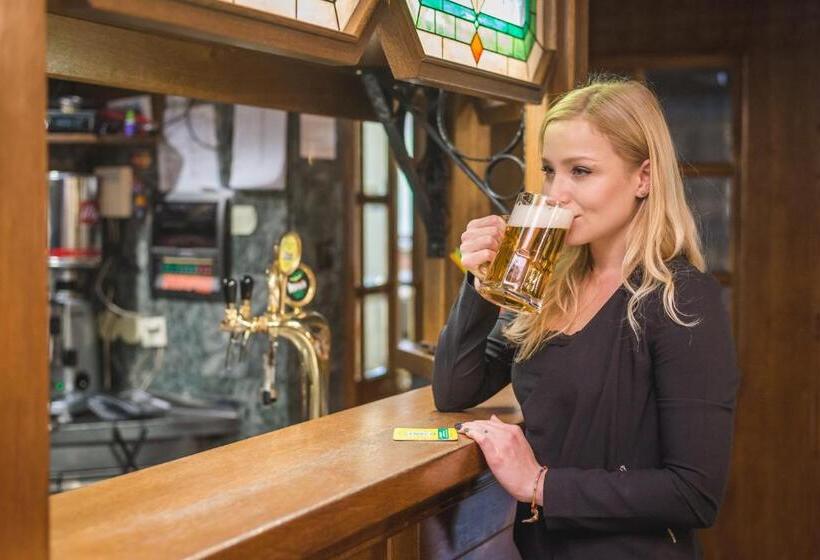 پانسیون Guesthouse Haler