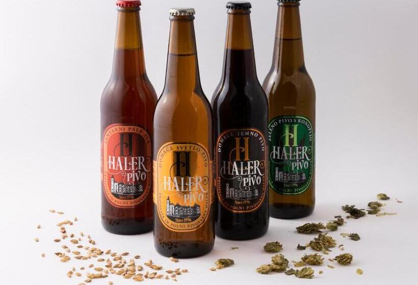 پانسیون Guesthouse Haler