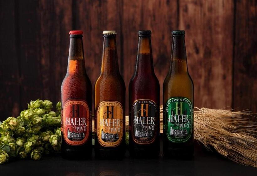 پانسیون Guesthouse Haler