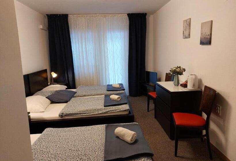 پانسیون Guesthouse Ob Sotočju Budič