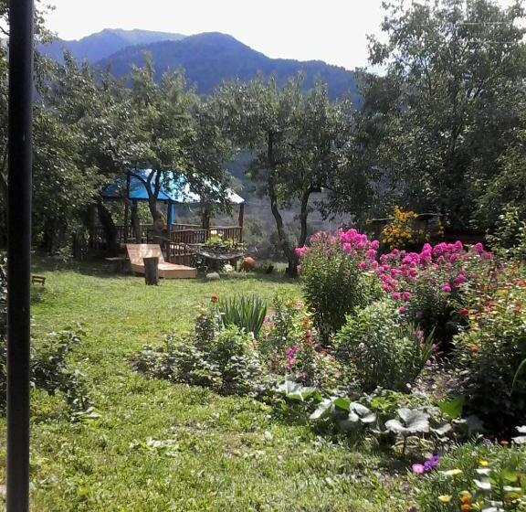 پانسیون Laila Guest House