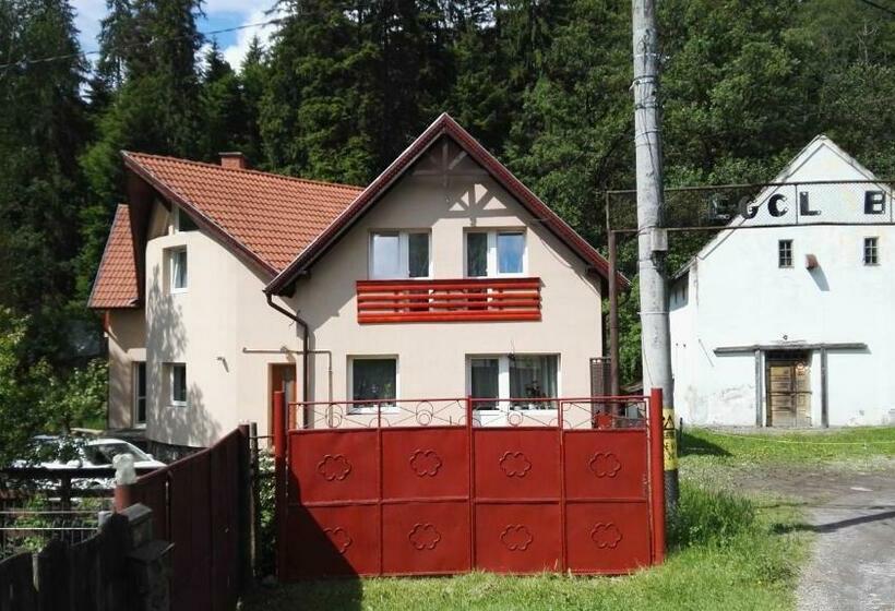 ペンション Olt Part Vendégház