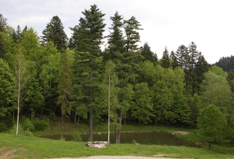 بنسيون Penzión Alfréd