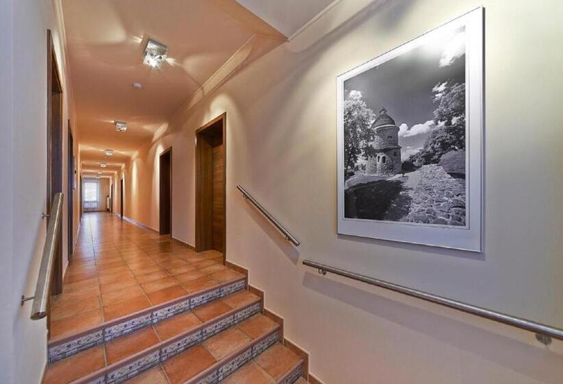 膳宿费 Penzion Club