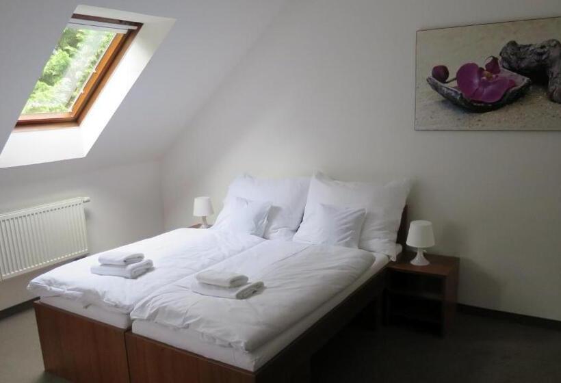 Пансион Penzion Lapáš U Hoffera