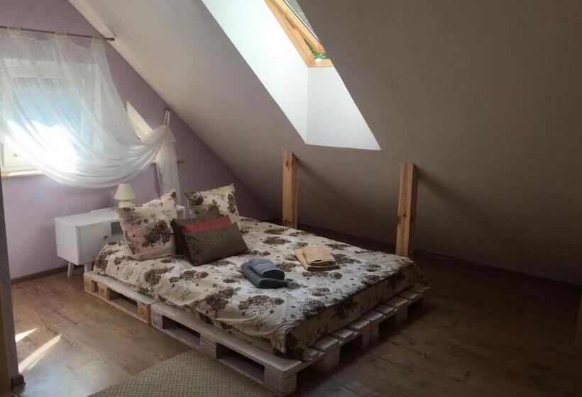 پانسیون Rotuã…â¡ã„â€”