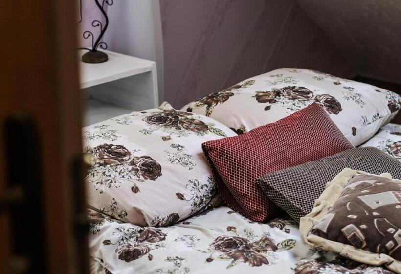 پانسیون Rotuã…â¡ã„â€”