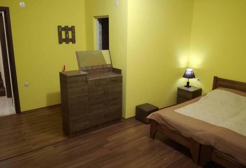 پانسیون Shekvetili+