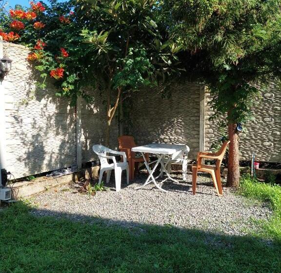 پانسیون Shekvetili+