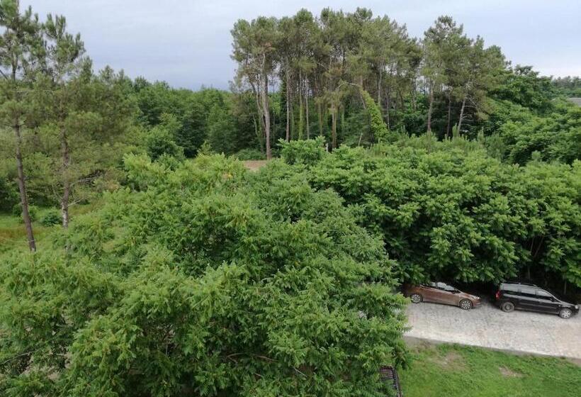 پانسیون Shekvetili+