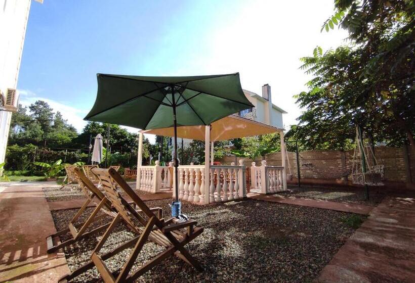 پانسیون Shekvetili+