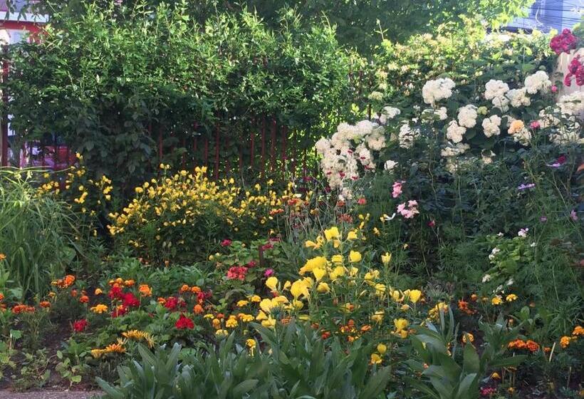 פנסיון Vila Adriana