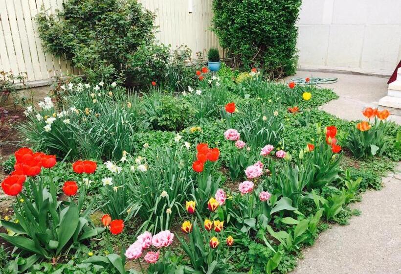 بنسيون Vila Adriana