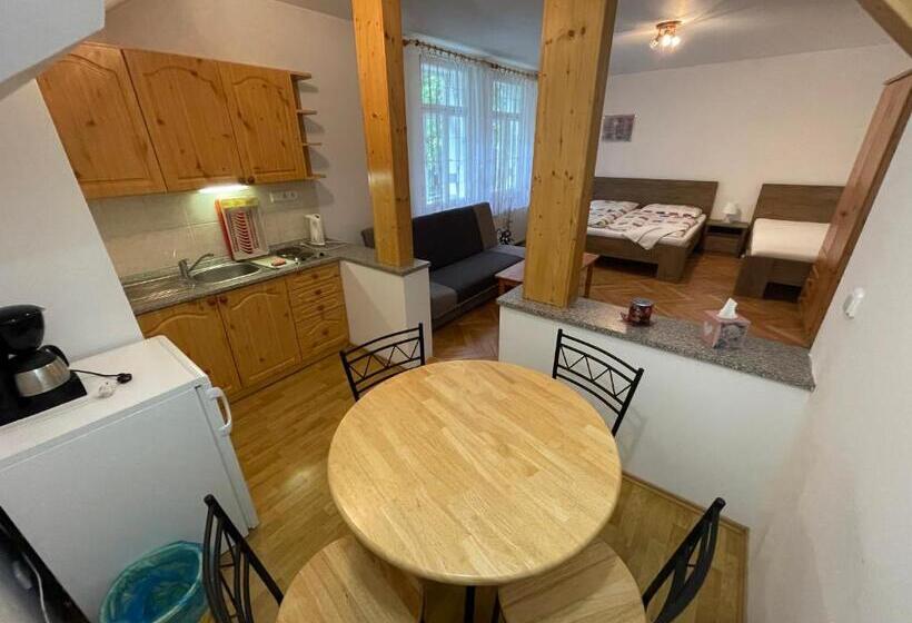 پانسیون Villa Belvedere