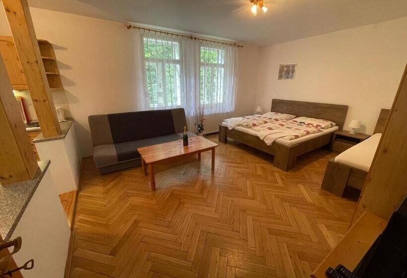 פנסיון Villa Belvedere