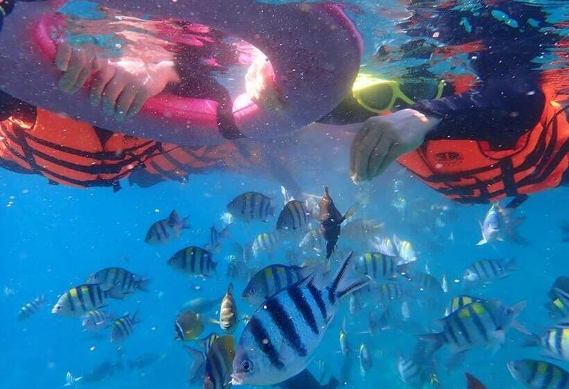 Good Hostel 好棧 Green Island