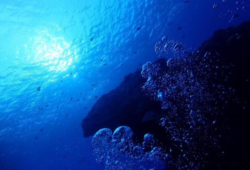 Good Hostel 好棧 Green Island