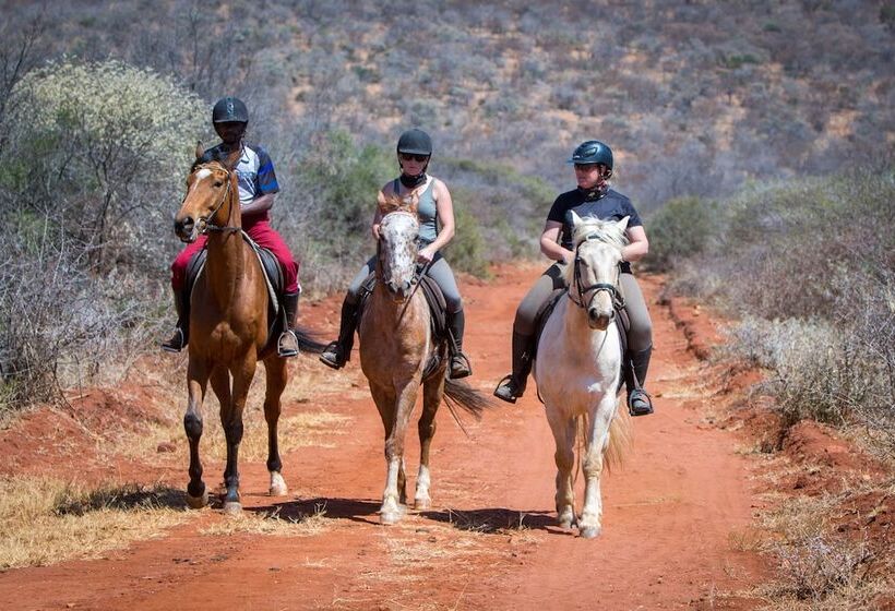 בית מלון כפרי Sundown Country Estate