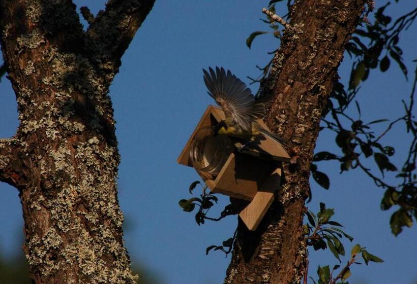 민박 Le Grand Trianon