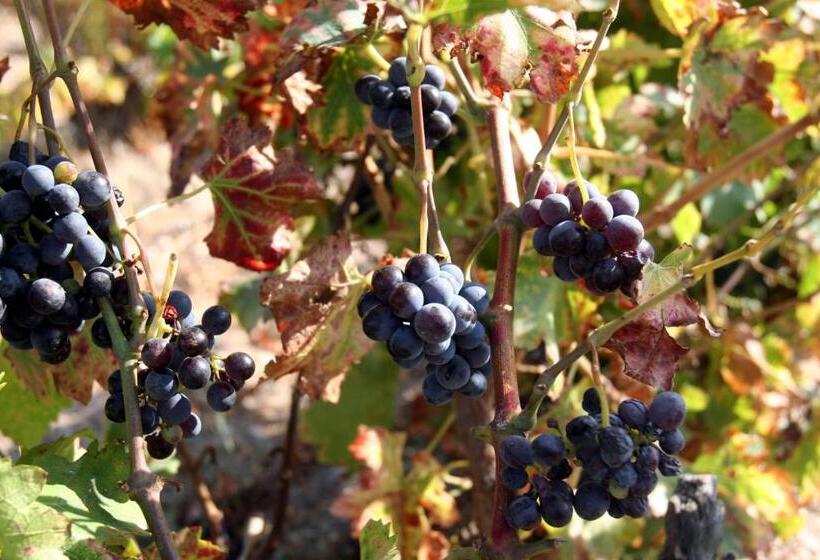 住宿加早餐  Le Vieux Moulin