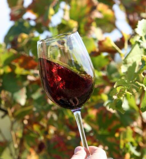 住宿加早餐  Le Vieux Moulin